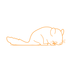 Animals Rodents African Dormouse Svg Line Art, Free Vectors File